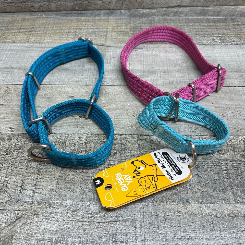 Every Yay martingale Collar